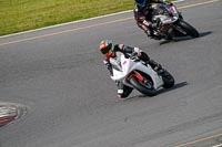 Advanced Group White Bikes
